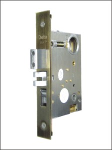 SS Lock case